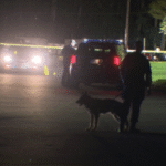 Male in critical condition after shooting on Hillside Street in East Hartford