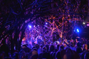 Top Performances of Pickathon 2026