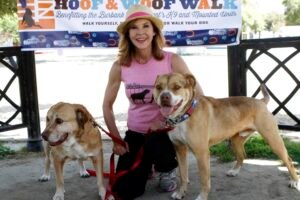 251 dogs found at unlicensed L.A. County kennel run by 'Exorcist' actor Linda Blair