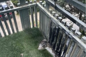 Tabletop fire pit loosed a fireball so big it melted lights, suit says; injured vet sues Amazon