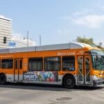 Man committed 'calculated act of violence' in racially motivated L.A. Metro bus stabbing