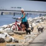 The eight-mile gap in the L.A. River bike path downtown has a billion-dollar problem