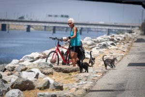 The eight-mile gap in the L.A. River bike path downtown has a billion-dollar problem