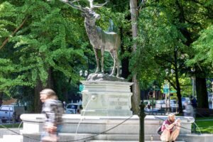 If Portland’s Thompson Elk Statue Could Talk
